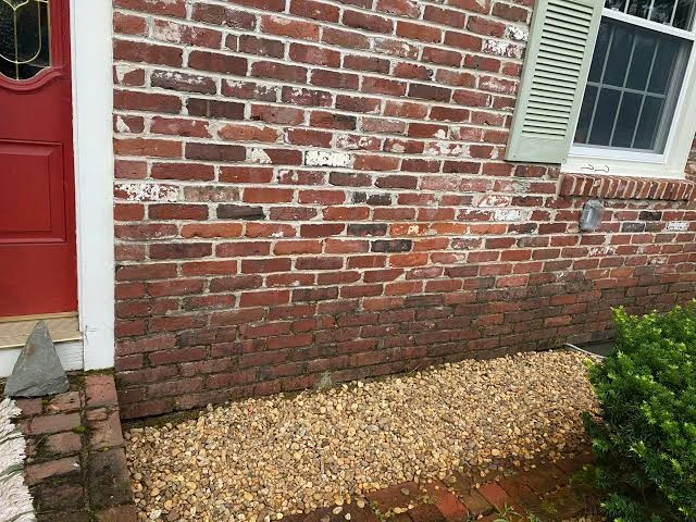 Why Brick Walls Get Damp in Panchkula